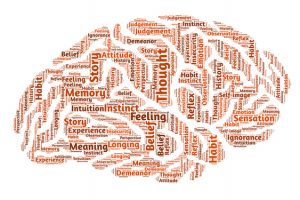 Pinceladas científicas sobre el tdah